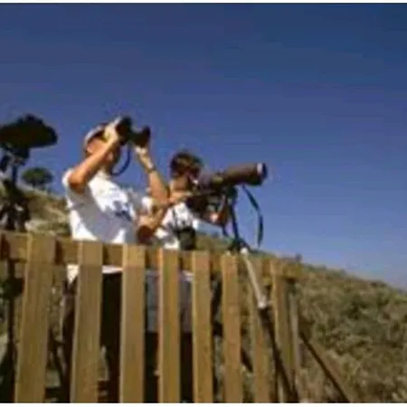 לינה וארוחת בוקר Les Touristique Julea