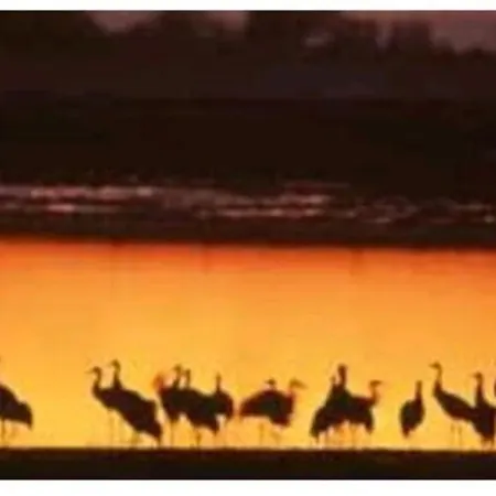 Les Touristique Julea לינה וארוחת בוקר 3*