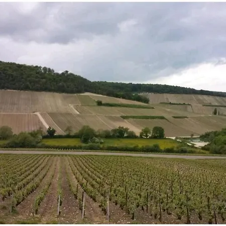 Les Touristique Julea ベッド・アンド・ブレックファスト Dienville